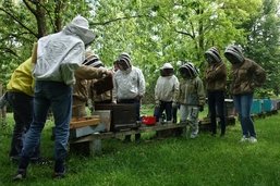 Les abeilles et nous (1/5): L’apiculture se professionnalise