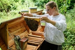 Les abeilles et nous (4/5): En biodynamie, on laisse les colonies œuvrer le plus naturellement possible