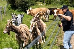 Familles du terroir (2/5): Accompagner l’animal, de la naissance à l’assiette