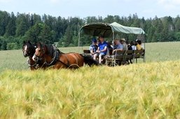 Familles du terroir (1/5): Trois générations et un même attachement au cheval