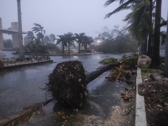 La station balnéaire mexicaine de Cancún, dans la péninsule du Yucatán, est jonchée d'arbres arrachés, de pylônes électriques à terre. © KEYSTONE/AP/Victor Ruiz Garcia