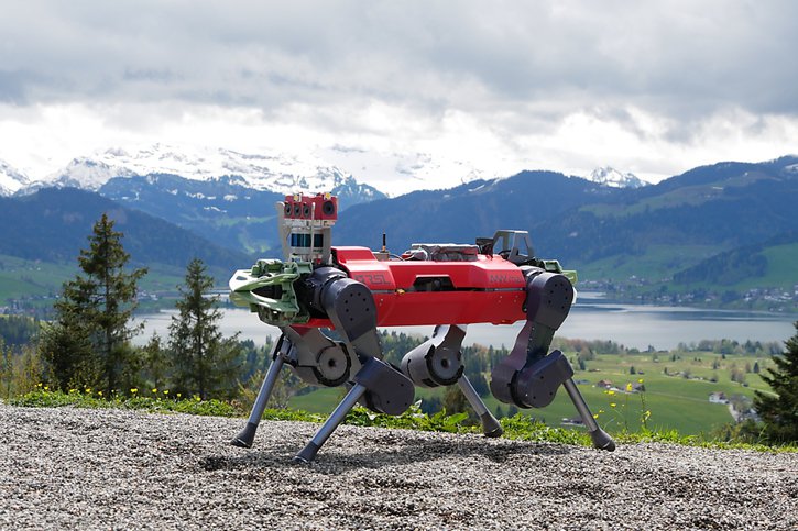Le robot quadrupède sur l'Etzel, au-dessus du lac de Zurich. © Robotic Systems Lab, EPFZ