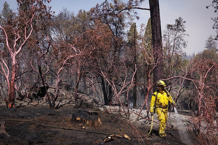 Le feu a déjà ravagé plus de 6000 hectares de forêt. © KEYSTONE/EPA/PETER DA SILVA