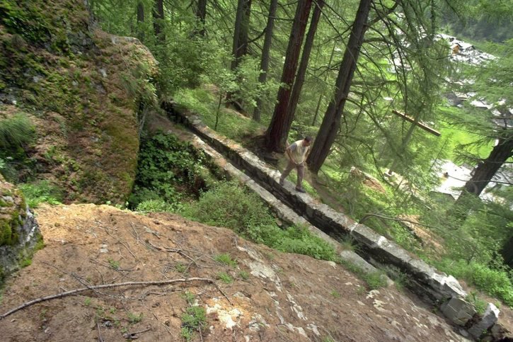 L'eau qui pénètre naturellement des bisses valaisans dans le sol favorise la vitalité des arbres forestiers à une distance de plusieurs mètres en amont et en aval. (archives) © KEYSTONE/OLIVIER MAIRE