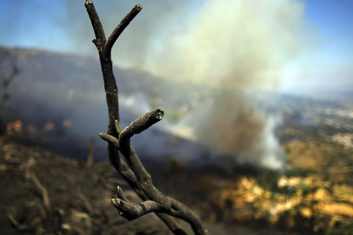Ce feu de forêt, le plus important de l'été au Portugal, a dévasté le géo-parc mondial reconnu par l'Unesco dans la région de la montagne de la Serra da Estrela. © KEYSTONE/AP/Francisco Seco