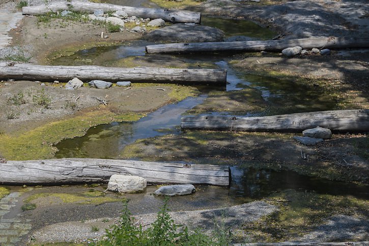 La rivière Breggia, près de Mendrisio (TI), était presque à sec à la mi-juillet (archives). © KEYSTONE/TI-PRESS/Pablo Gianinazzi