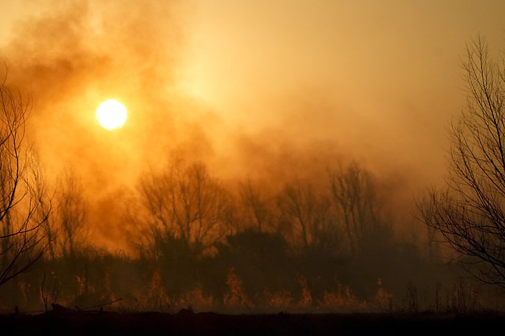 Les feux de forêt de plus en plus fréquents pourraient à terme faire perdre aux forêts boréales leur statut de puits de carbone (image d'illustration). © KEYSTONE/AP/Natacha Pisarenko
