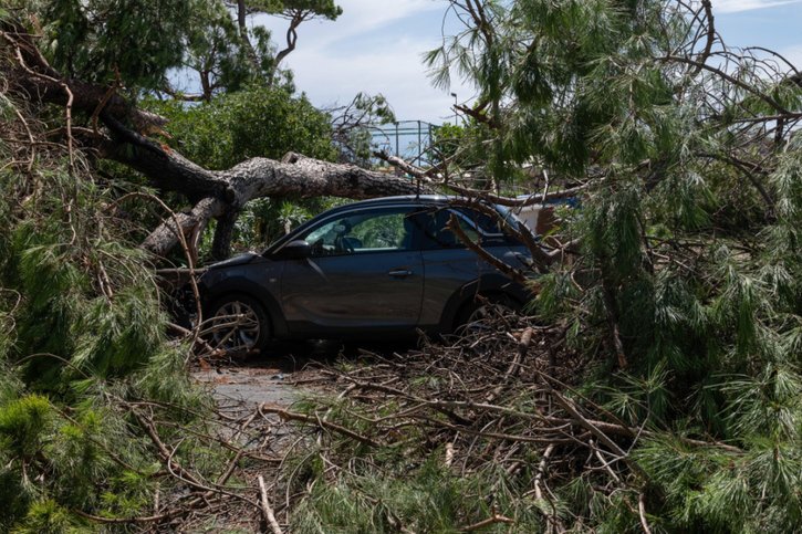 Quatre personnes ont été blessées par la chute d'arbres au camping de Marina di Massa, en bord de mer. © KEYSTONE/EPA/RICCARDO DALLE LUCHE