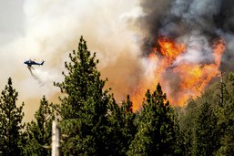 Un violent incendie continue de s'étendre en Californie