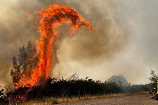 Un été record de surfaces brûlées en Europe