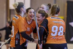 Unihockey LNB: Courtes victoires pour Aergera Chevrilles et Floorball Fribourg