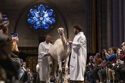Des centaines d'animaux bénis à la cathédrale de New York