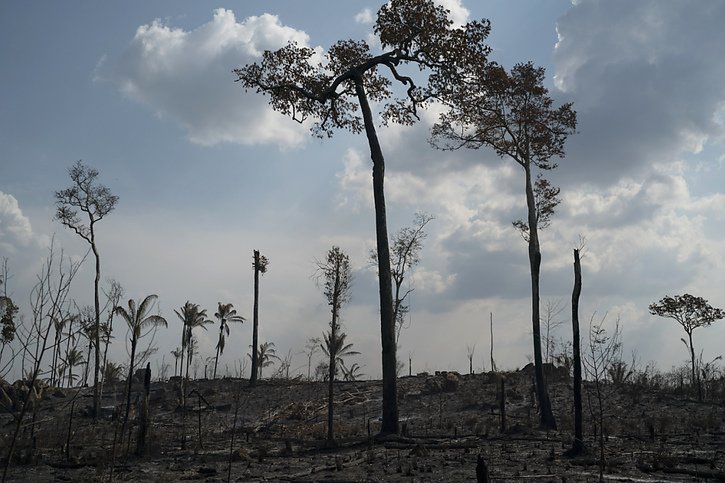 Les feux de forêt en Amazonie sont souvent boutés par les acteurs de l'agro-négoce mais ils se multiplient aussi sous l'effet de la sécheresse liée au changement climatique (archives). © KEYSTONE/AP/LEO CORREA