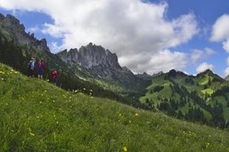 Toponymie: Un territoire marqué par le loup