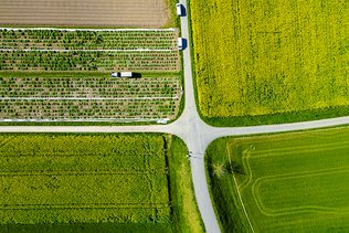 Près de 20% de terres sans herbicides en 2023