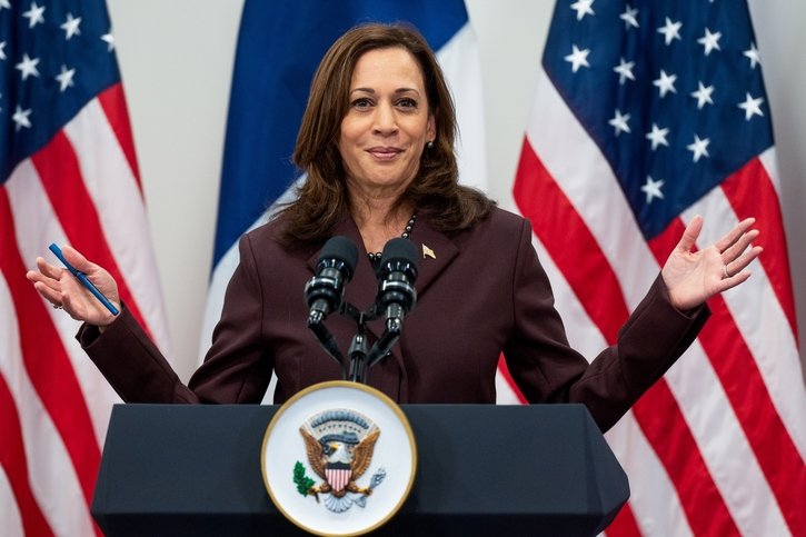 Présidentielle américaine: «Les démocrates sont unis derrière Kamala Harris pour battre Donald Trump»